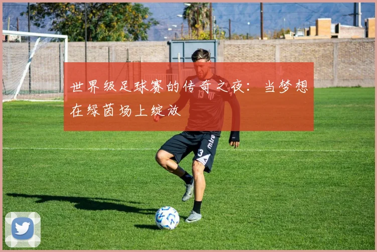 世界级足球赛的传奇之夜:当梦想在绿茵场上绽放