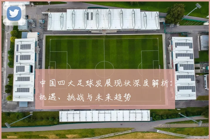 中国四大足球发展现状深度解析:机遇、挑战与未来趋势